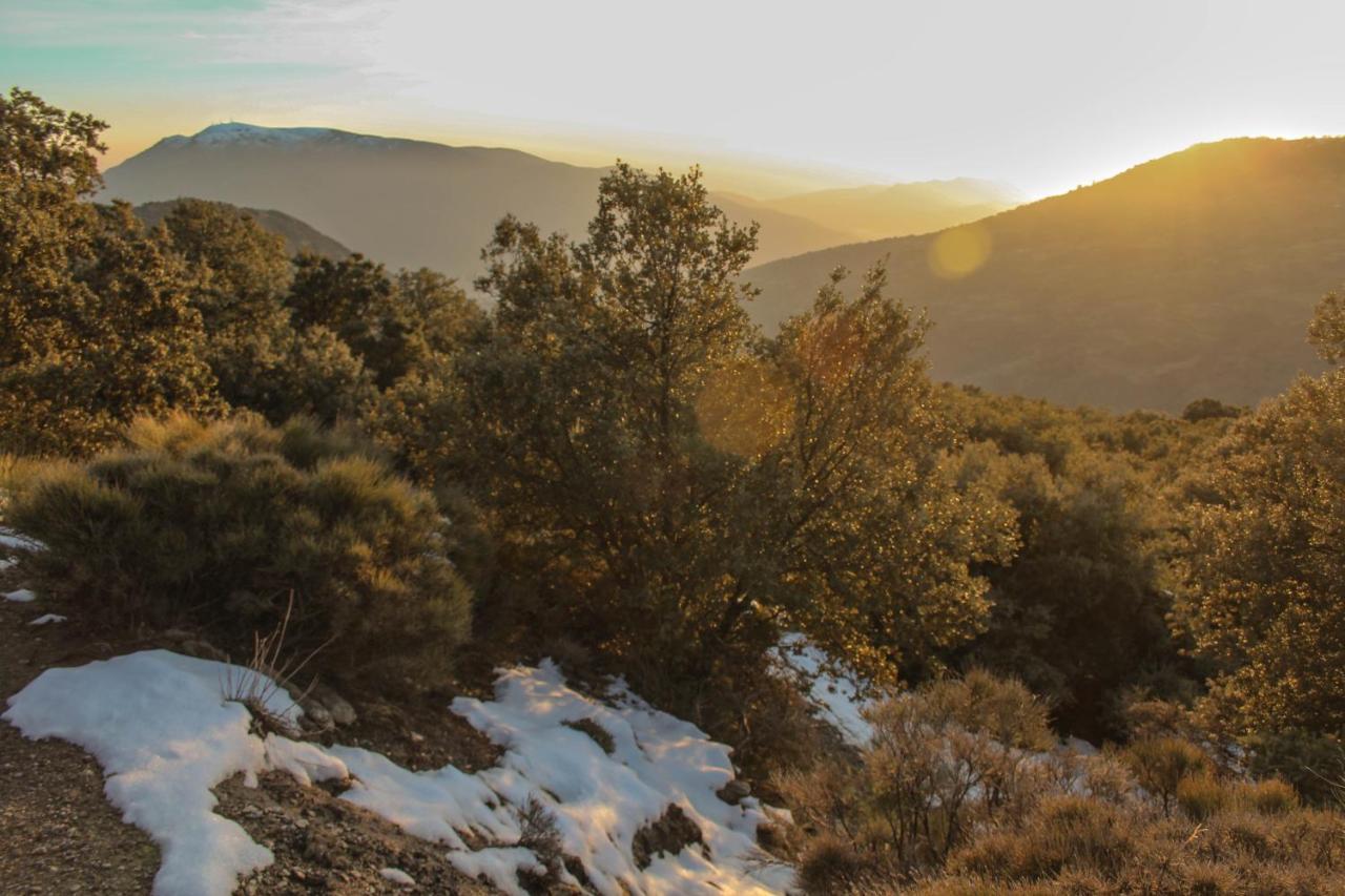 Casa Rural Catifalarga Alpujarra Капилейра Екстериор снимка